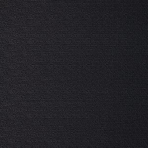 Speckle Noire
